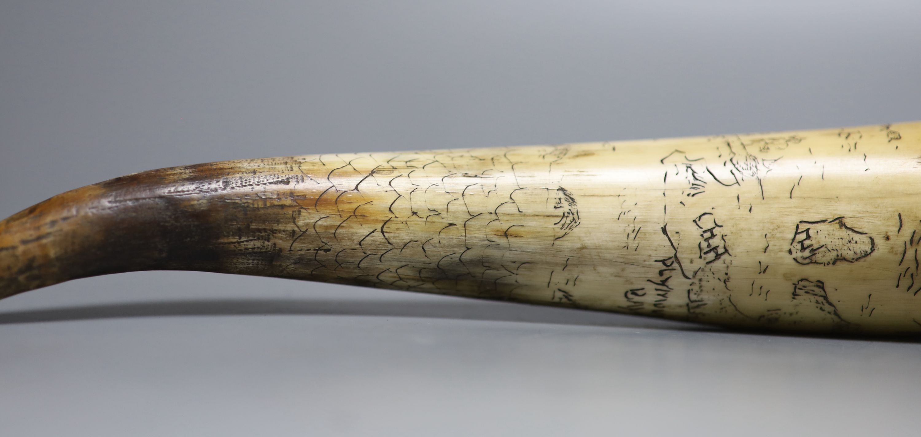 A scrimshaw horn beaker, bearing date 1837, 28cm